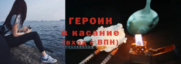 гидра Вязьма