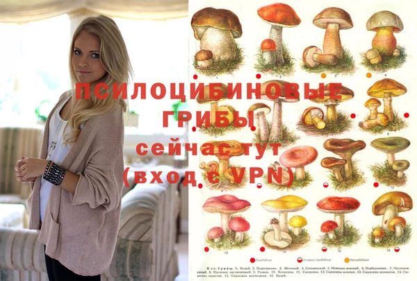 mdma Волоколамск