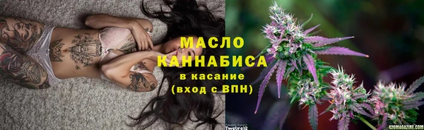 гидра Вязьма