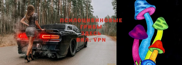 МДПВ Волосово