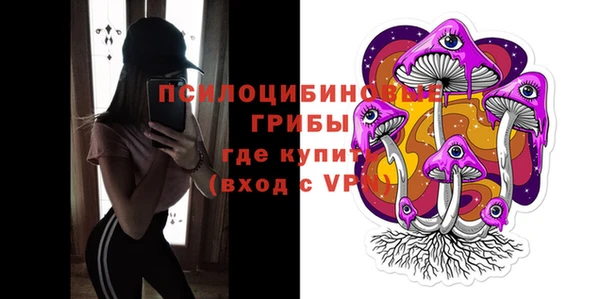 гидра Вязьма