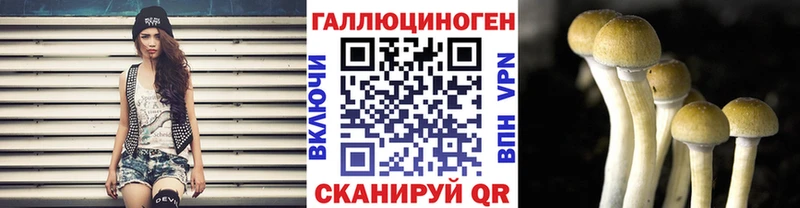 Галлюциногенные грибы Magic Shrooms  Купить  Невьянск 